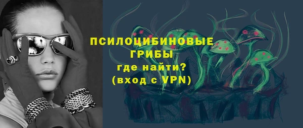 гидра Пересвет