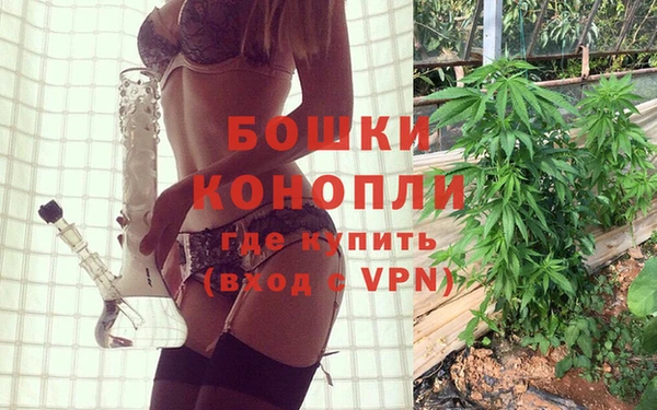 гидра Пересвет