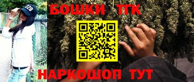 стафф Новозыбков