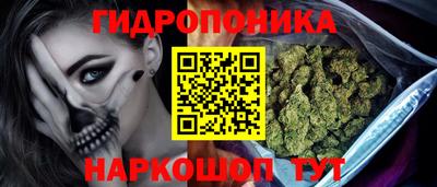 соль ск Новокубанск