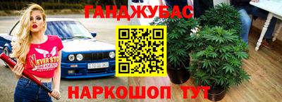 стафф Новозыбков
