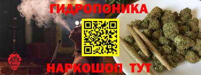 стафф Новозыбков