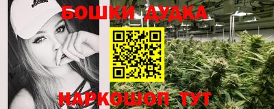 соль ск Новокубанск