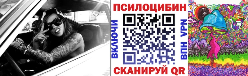 Псилоцибиновые грибы Psilocybe Тихвин