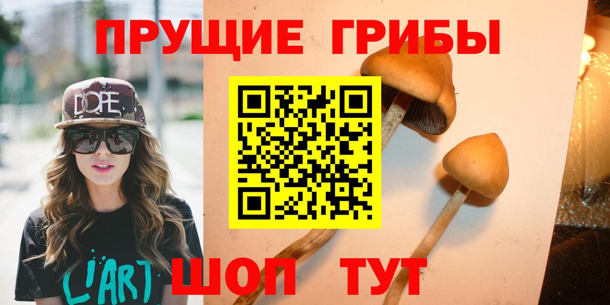 Галлюциногенные грибы Psilocybine cubensis Тихвин
